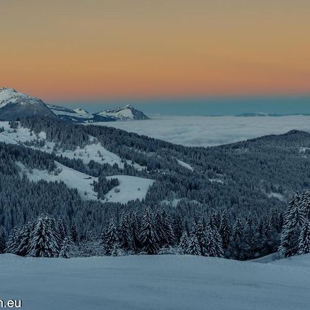 Samoens 1600 Studio Au Pied Des Pistes Екстериор снимка